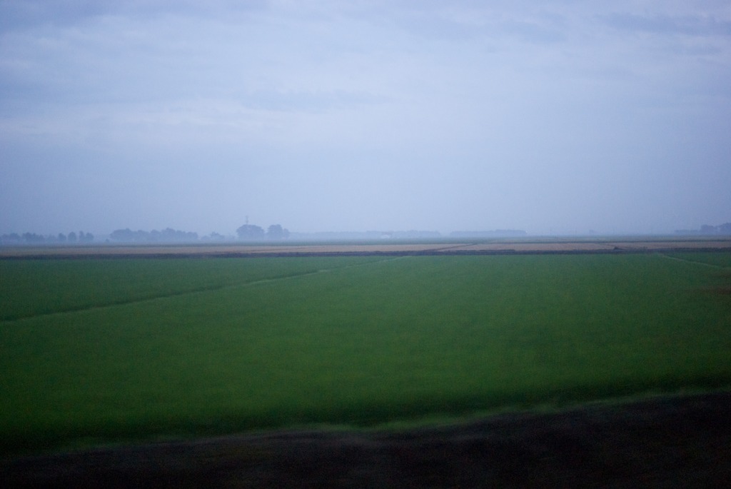 DSC03655