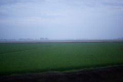 DSC03655