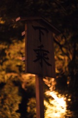 DSC05354