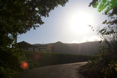 DSC07039