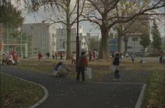 Pick up Fallen Leaves