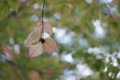 DSC07143