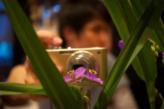 DSC01712