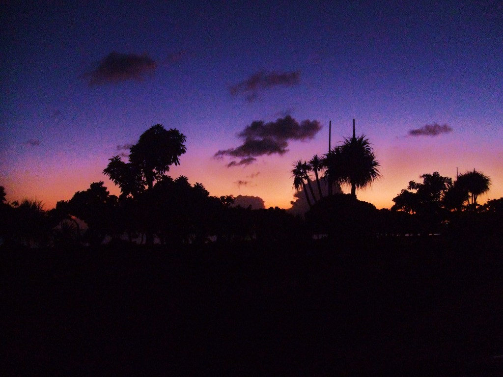 夕焼け