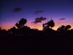 夕焼け