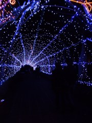 光のトンネル