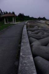 朝の海沿