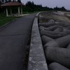 朝の海沿