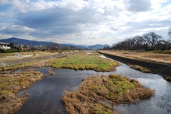 冬の鴨川