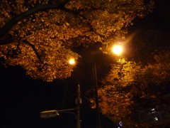 新宿