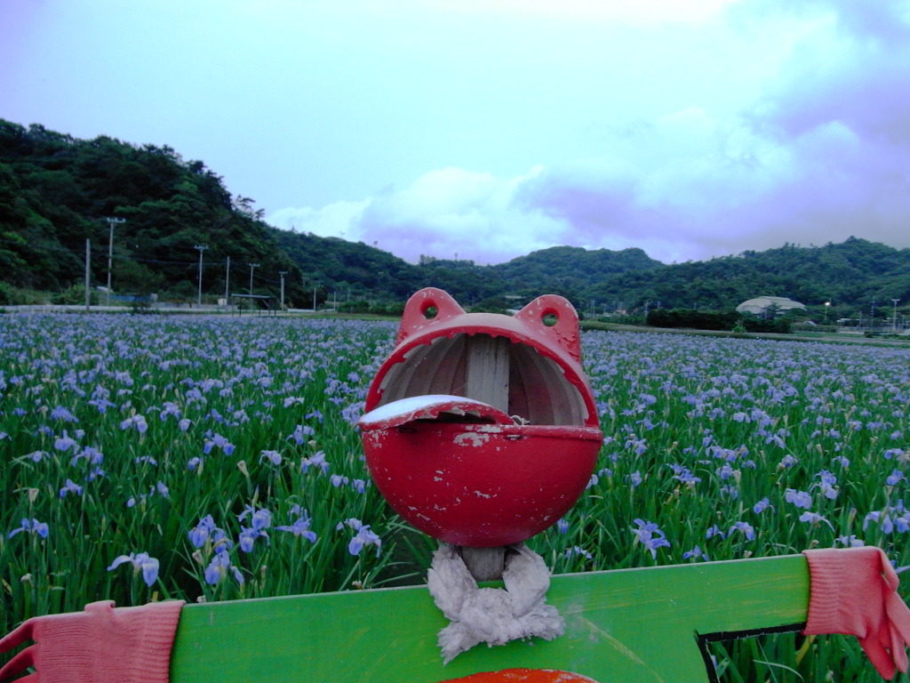 カエルくん☆