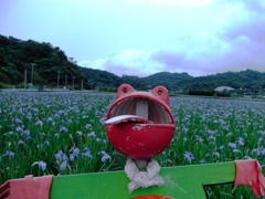 カエルくん☆