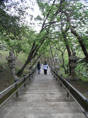 小春日和