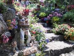 花守