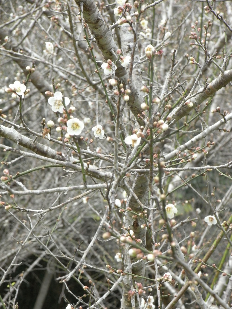 まだまだこれから