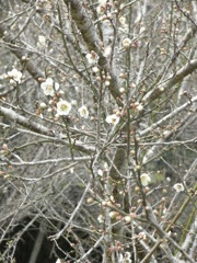 まだまだこれから