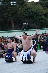 横綱の奉納