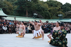横綱の奉納