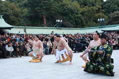 横綱の奉納