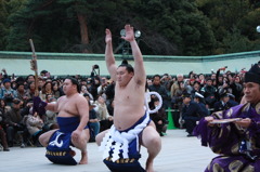 横綱の奉納