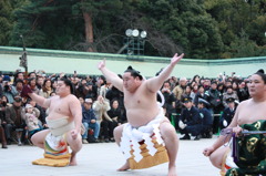 横綱の奉納