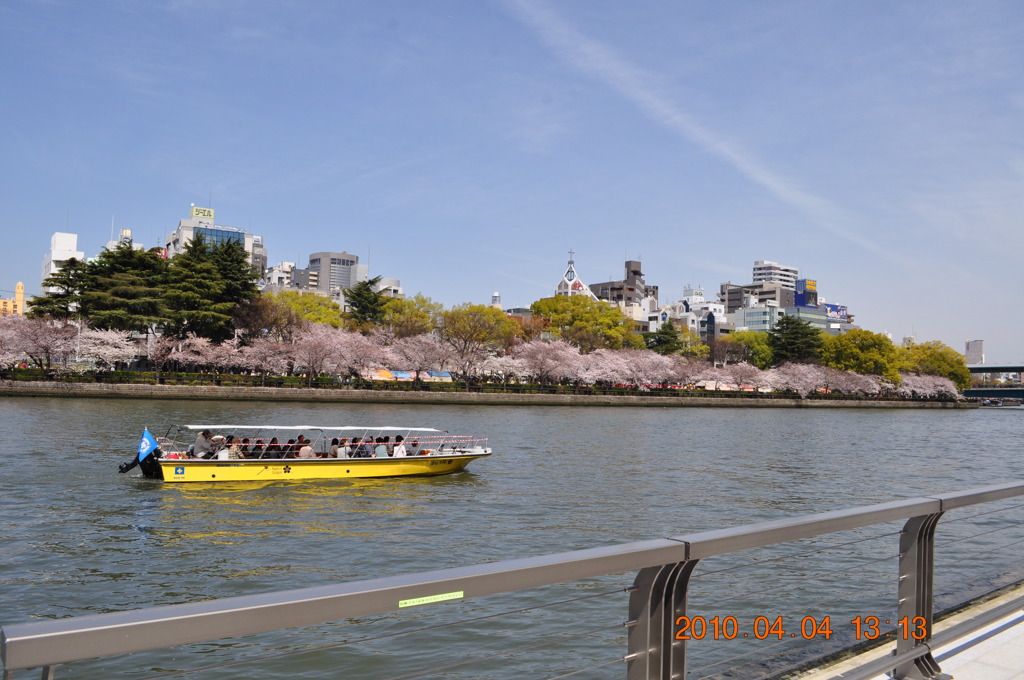 2010年　桜花見その2