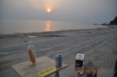 夕日と愛猫