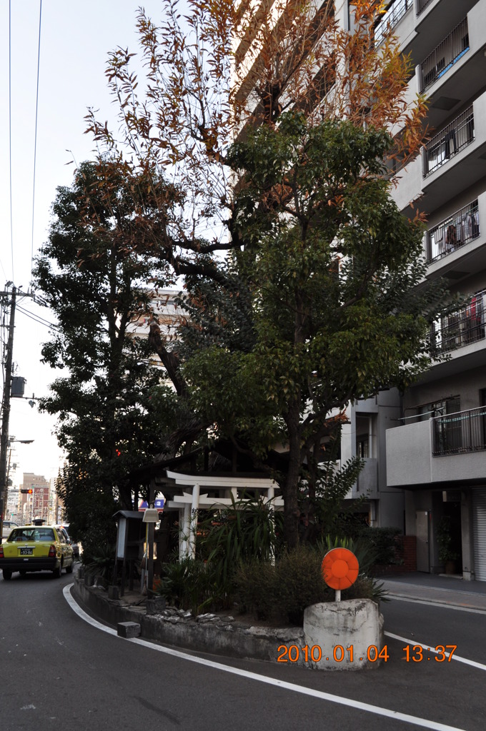 道路の中の神社