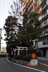 道路の中の神社