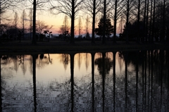 川辺の夕日