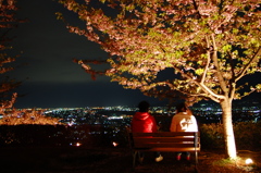 桜、夜景、恋人