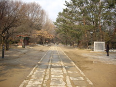 真ん中は歩くの禁止！