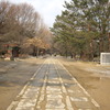 真ん中は歩くの禁止！