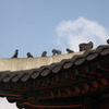 三蔵法師たち