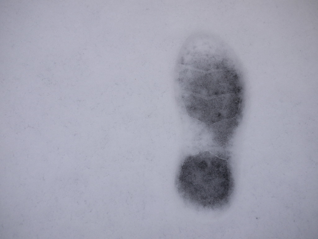 積雪ｉｎ東京