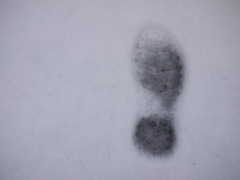積雪ｉｎ東京