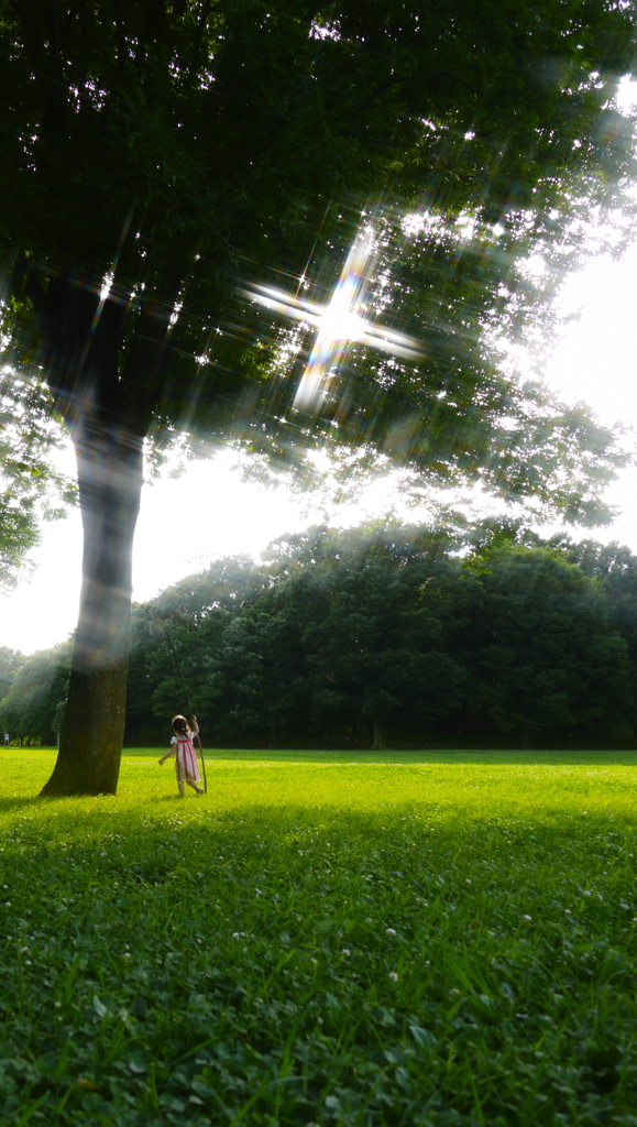 魔法使いの夏