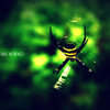 I'm spider