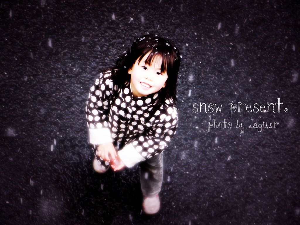 snow present.