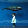 海豹と・・・2008