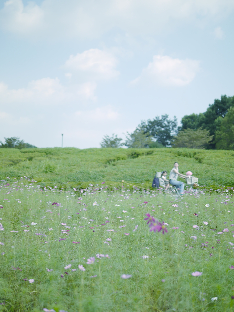 September　Picnic