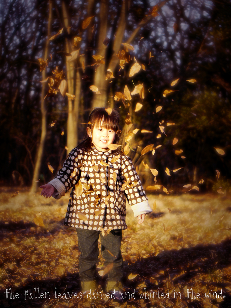 the fallen leaves danced and whirled in 
