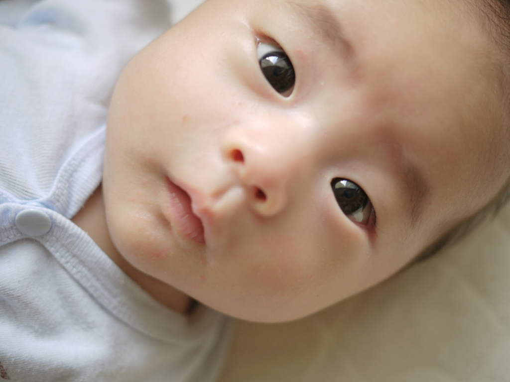 ぢゃが～Ｊｒ