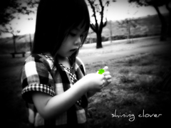 shining clover 
