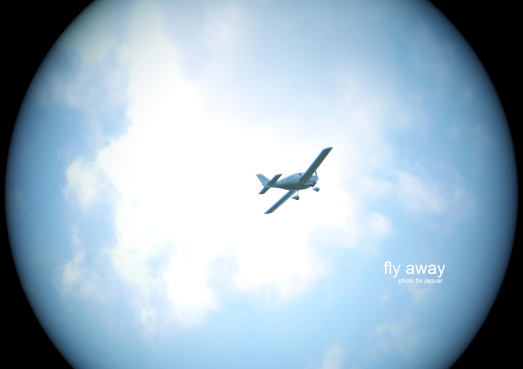 fly away