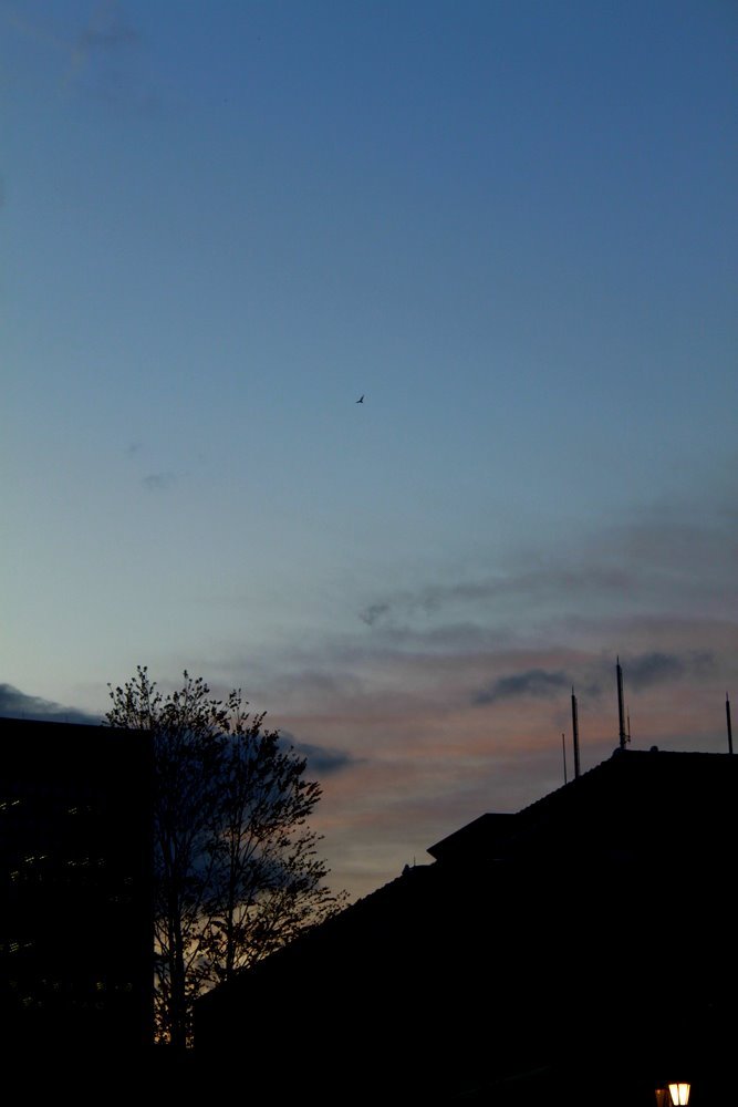 空