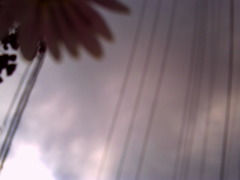 雨降るのかなぁ