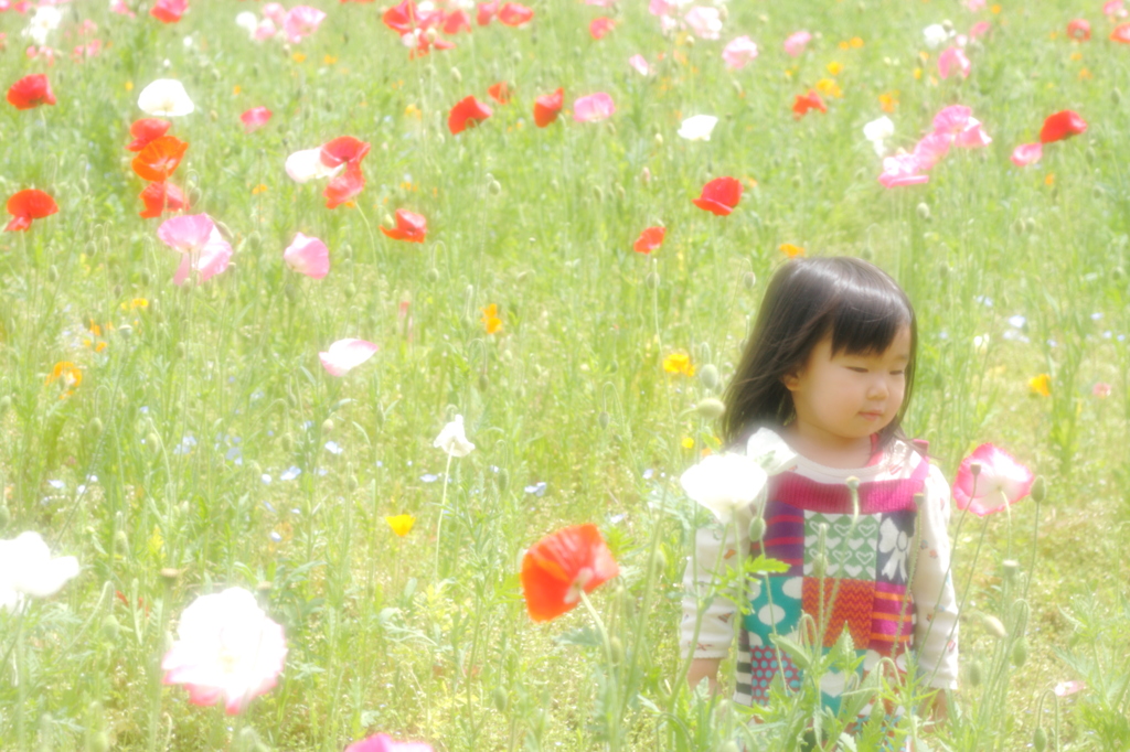 春をもとめて