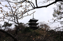 横浜　三渓園　#2