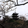 横浜　三渓園　#2